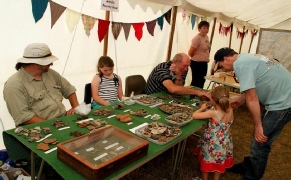 kings lynn metal detecting club